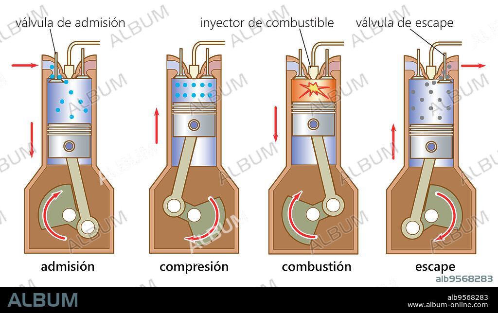 The sequence of events in a four-stroke diesel engine involves a single intake valve, fuel-injection nozzle, and exhaust valve.