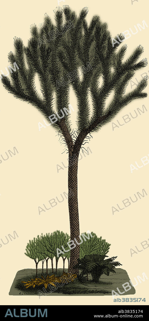 Illustration of a 40-foot-tall Lepidodendron sternbergii, a large tree-like plant from the Carboniferous Period, from Louis Figuier's The World Before the Deluge, 1867 American edition.