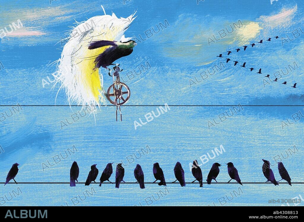 Birds on telephone wire watching exotic bird rice unicycle.