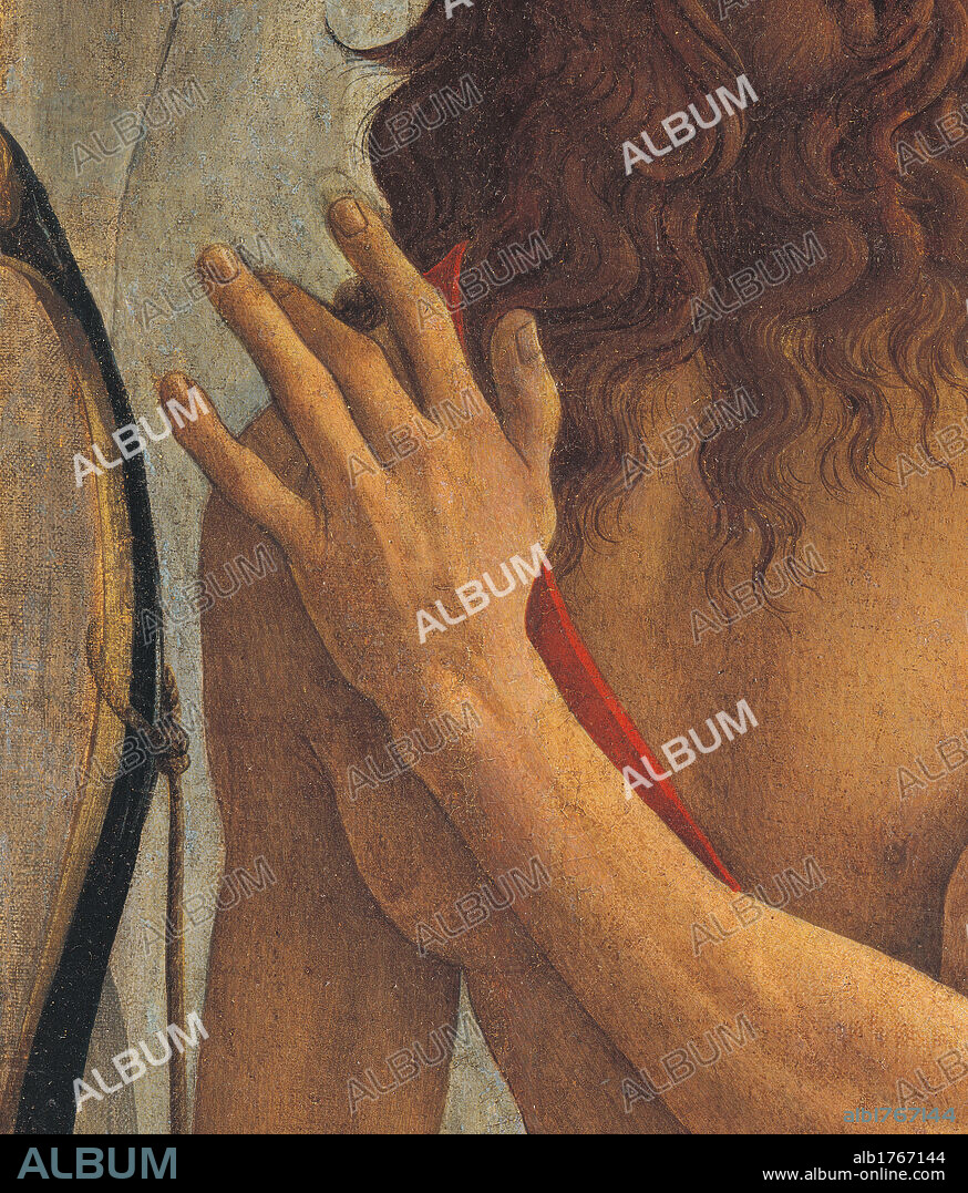 Pallas and the Centaur (Minerva and the Centaur), by Sandro Filipepi Known as Botticelli, 1482-1483 about, 15th Century, tempera on canvas, cm 205 x 147,5. Italy, Tuscany, Florence, Uffizi Gallery. Detail. Right arm of the Centaur, armed with bow and arrows, resting on bare chest on which rests the tip of its beard. Authorization required for non editorial use.