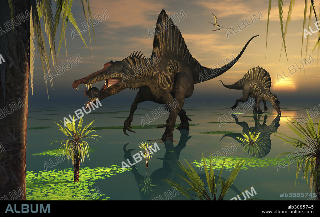 Artist's concept of Spinosaurus, said to have been the biggest carnivorous dinosaur that ever lived. It is recognizable by its crocodilian shaped skull and is said to have lived mainly off fish.