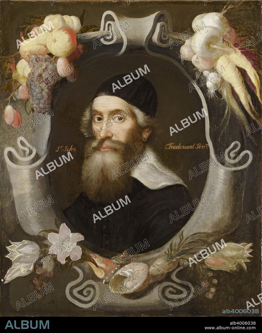 John Tradescant the Elder, 17th century. Dimensions: height x width x depth: 79 x 62 cm.