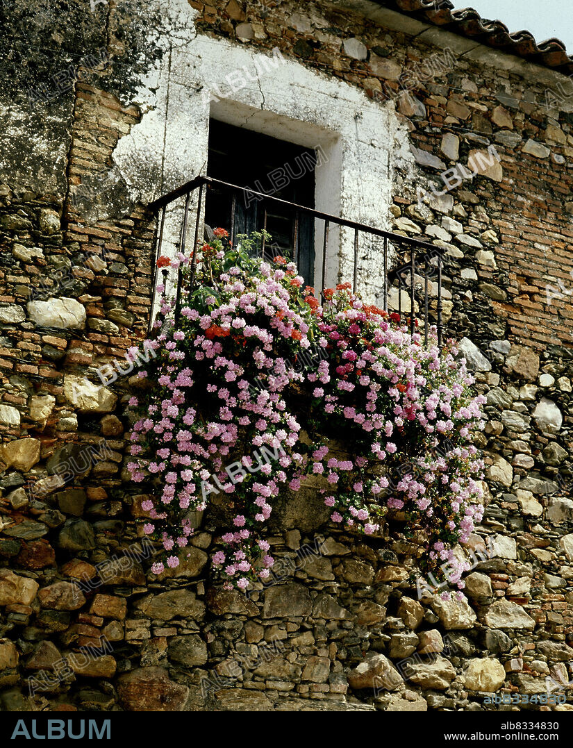 BALCON CON FLORES.