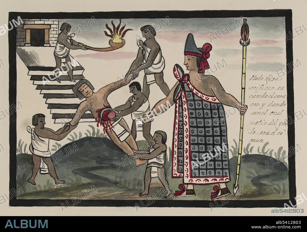 Human sacrifice. An high priest holding a spear presides over the sacrifice of a man whose heart is removed by an assistant. In the background, another assistant on the steps of a temple or pyramid holds an incense burner. The offering of the victim's heart to the gods satisfied the Aztec belief that the sun would rise again nourished by the hearts of men. The xochiyaoyotl (Flower Wars) were conducted to capture prisoners for the sacrificial offerings needed for the gods. The Tovar Codex contains detailed information about the rites and ceremonies of the Aztecs. The codex is illustrated with 51 full-page paintings in watercolor.  Illustration taken from a 19th century transcript of Juan de Tovar's Historia de la benida de los yndios apoblar a Mexico (the Co´dice Tovar).
