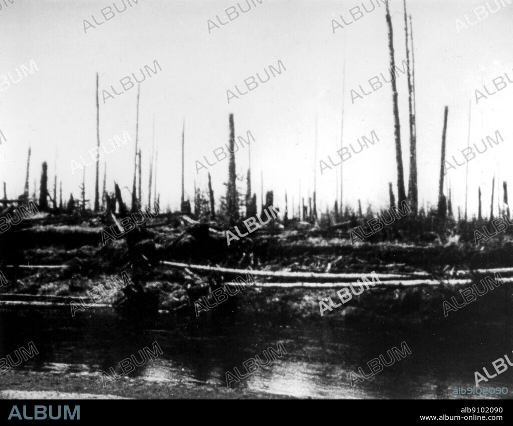 Tunguska after the 1908 explosion. On June 30, 1908, something exploded 8 km above the Stony Tunguska river. About 2150 square kilometres of Siberian taiga were devastated and 80 millions trees were overthrown. Up to now, it is not clear whether the great explosion was due to a comet or an asteroid or something else.