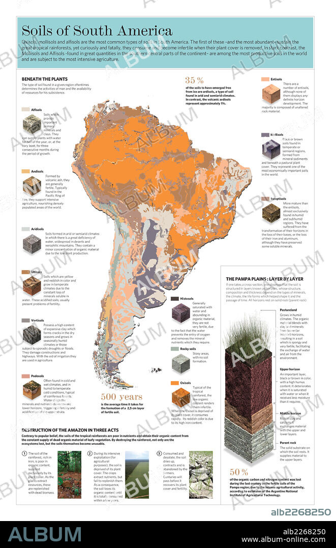 Soils of South America. Infographic of different types of terrains (or soils) of South America.