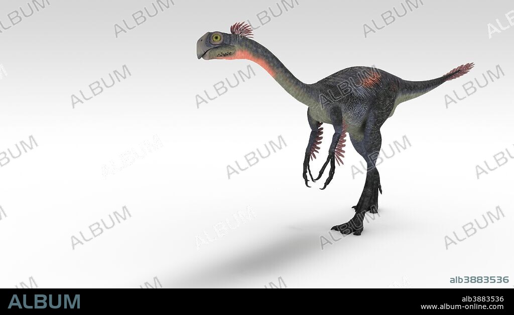 Gigantoraptor dinosaur, white background.