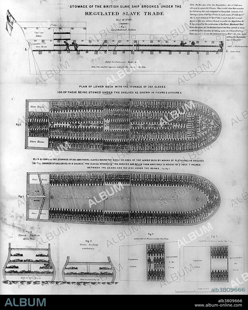 Entitled: "Stowage of the British slave ship Brookes under the regulated slave trade act of 1788." Slave ships were large cargo ships specially converted for the purpose of transporting slaves, especially newly purchased African slaves to the Americas. In order to achieve profit, the owners of the ships divided their hulls into holds with little headroom, so they could transport as many slaves as possible. Unhygienic conditions, dehydration, dysentery and scurvy led to a high mortality rate, on average 15% and up to a third of captives. Slavery in the US was the legal institution of chattel slavery that existed in the USA in the 18th and 19th centuries. The US was polarized by slavery into slave and free states along the Mason-Dixon Line, which separated Maryland (slave) and Pennsylvania (free). Although the international slave trade was prohibited from 1808, internal slave-trading continued at a rapid pace, causing the forced migration of more than one million slaves from the Upper South to the Deep South in the antebellum years. The total slave population in the South eventually reached four million before abolition.