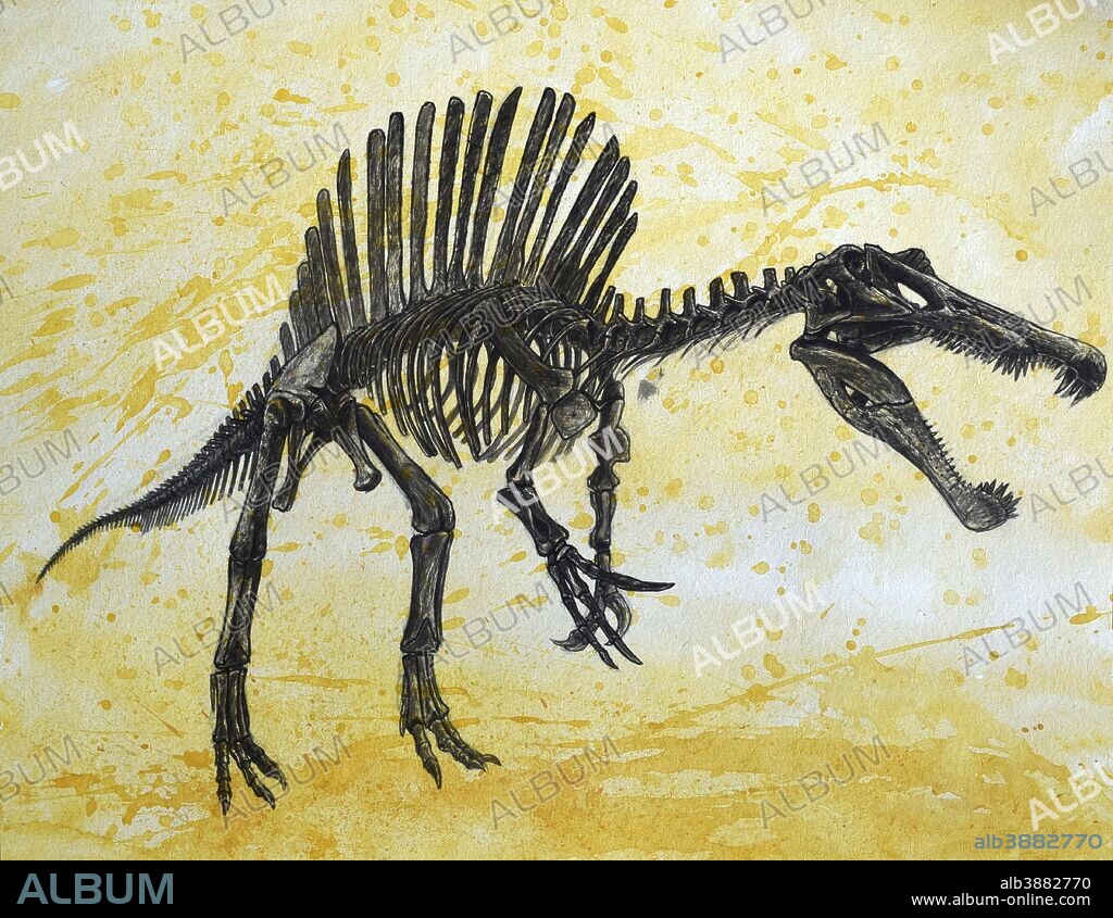 Spinosaurus dinosaur skeleton on textured background.