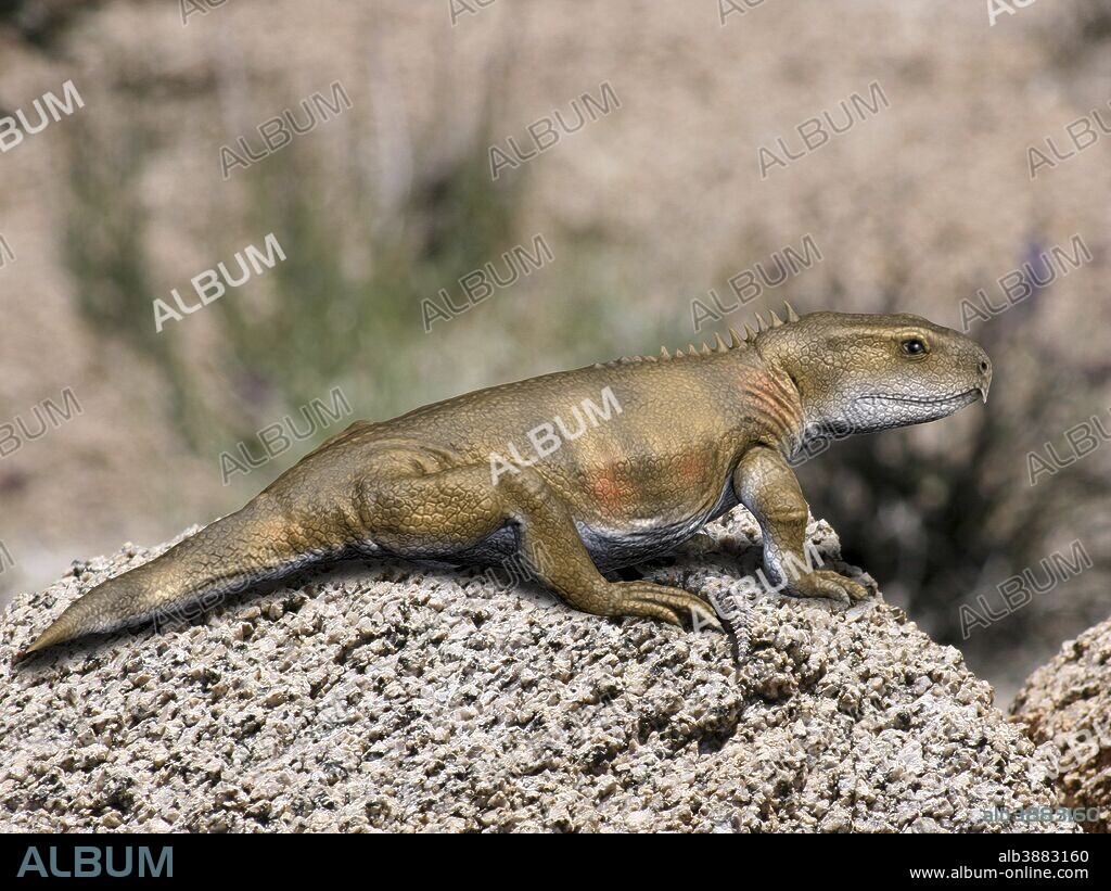 Priosphenodon is an extinct Rhynchocephalian from the Late Cretaceous period.