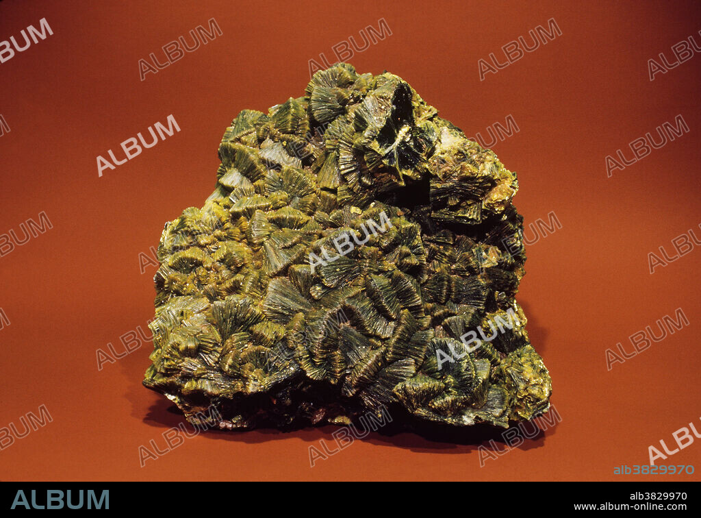 Autunite is calcium uranium phosphate, a distinctive green mineral that forms sprays of flat crystals that resemble wheat sheaves. This mineral is radioactive and also highly fluorescent. It glows bright green under ultraviolet light. This photo shows a specimen from the Daybreak Mine near Spokane, Washington, under normal illumination.