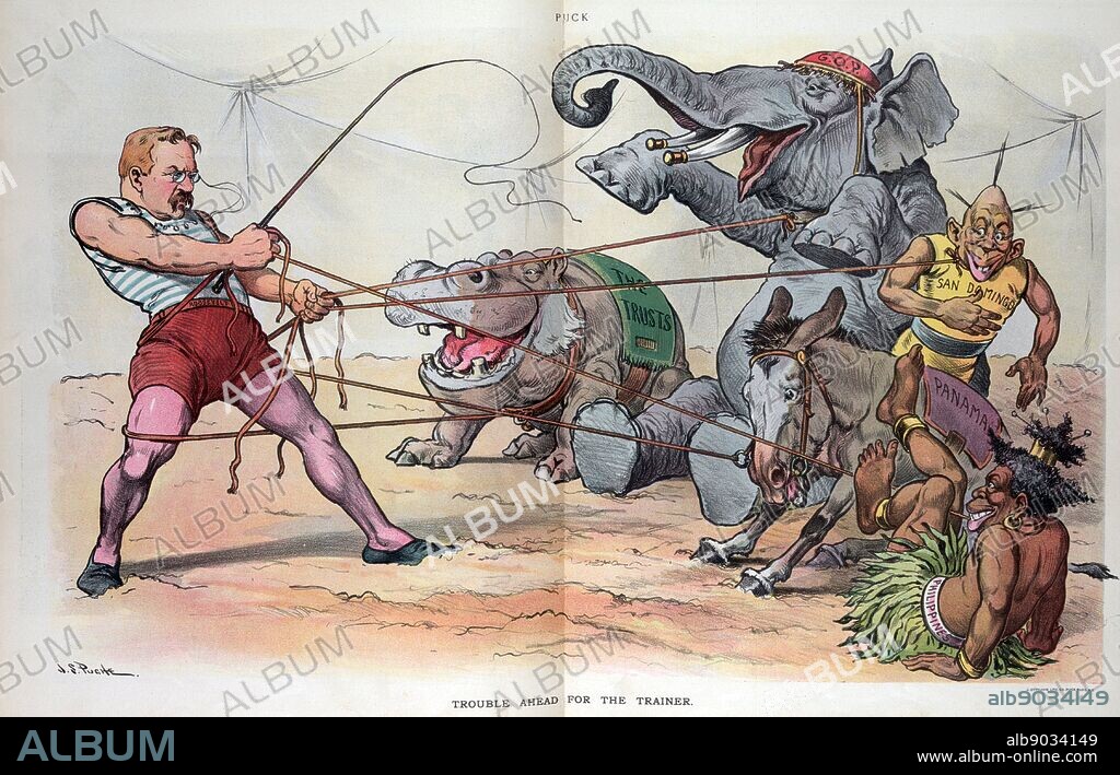 Trouble ahead for the trainer' President Theodore Roosevelt as a trainer in a circus, holding a whip and getting tangled in ropes attached to a hippopotamus labelled 'The Trusts', an elephant labelled 'G.O.P.', a donkey labelled 'Panama', and two natives labelled 'San Domingo' and 'Philippines'.