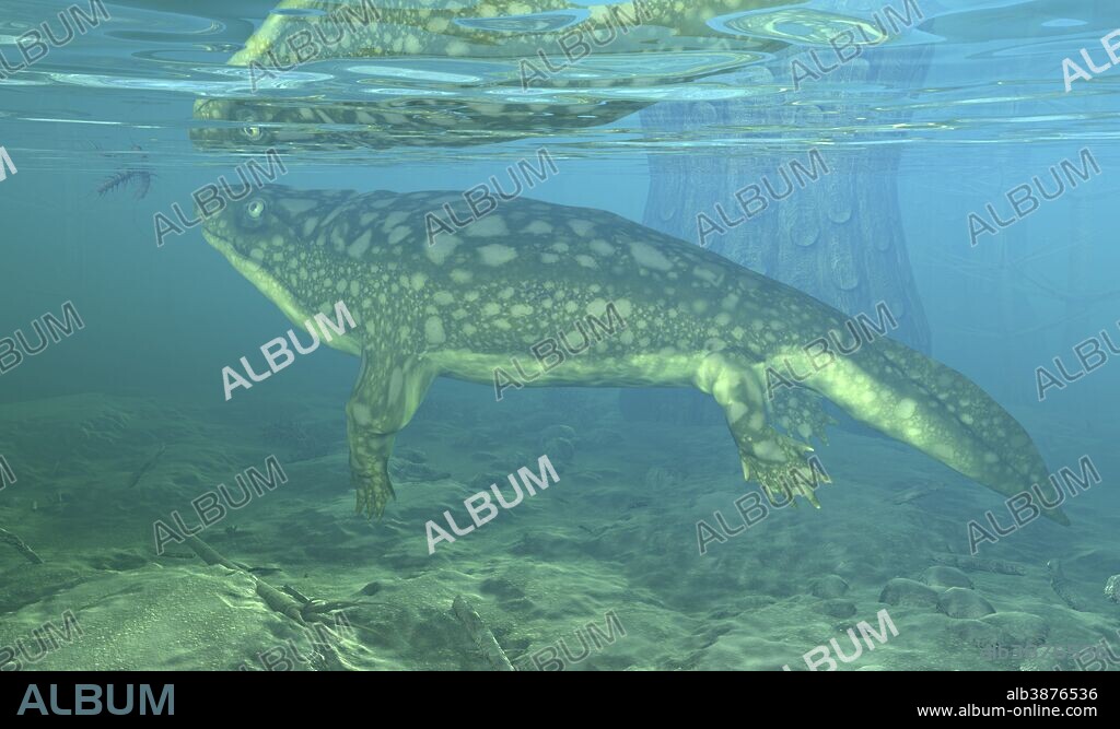 A Late Devonian Ichthyostega submerged in a floodplain 365 million years ago in what is today the Canadian Arctic. The tree-like trunk immediately behind the Ichthyostega is the base of a Pleuromeia. The Ichthyostega is eyeing a drowned centipede.. . Ichthyostega was one of the earliest tetrapods, a descendent of lobe-finned fishes and ancestor of amphibians. Ichthyostega had lungs and seven-toed limbs that allowed it to move about the shallow waters and shores of swamps and floodplains. It was among the first terrestrial vertebrates.