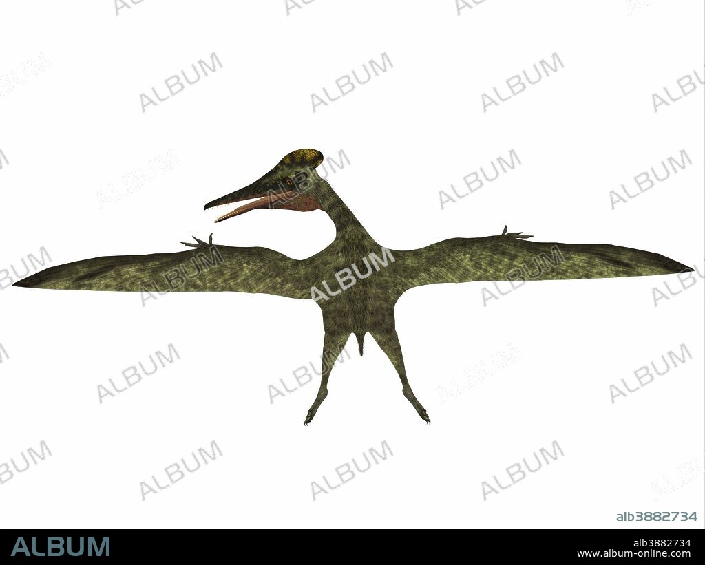 Pterodactylus was a flying carnivorous reptile that lived during the Jurassic Period of Bavaria, Germany.
