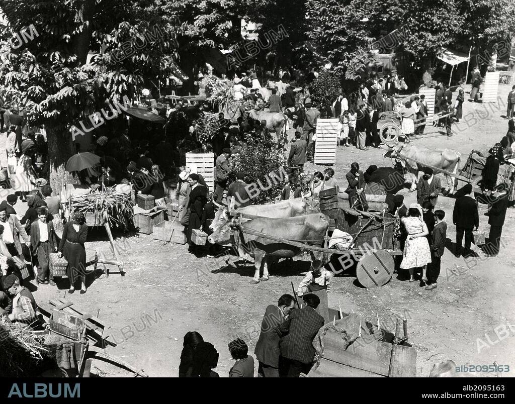 España. Galicia. Dia de mercado en Villalba (Lugo). Fotografía, año 1950.