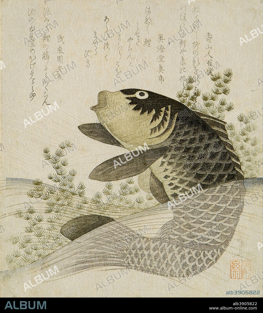 RYURYUKYO SHINSAI. Carp among pond plants. Date/Period: Ca. 1800. Print. Shikishiban surimono, colour woodblock print. Height: 21.20 mm (0.83 in); Width: 18.60 mm (0.73 in).