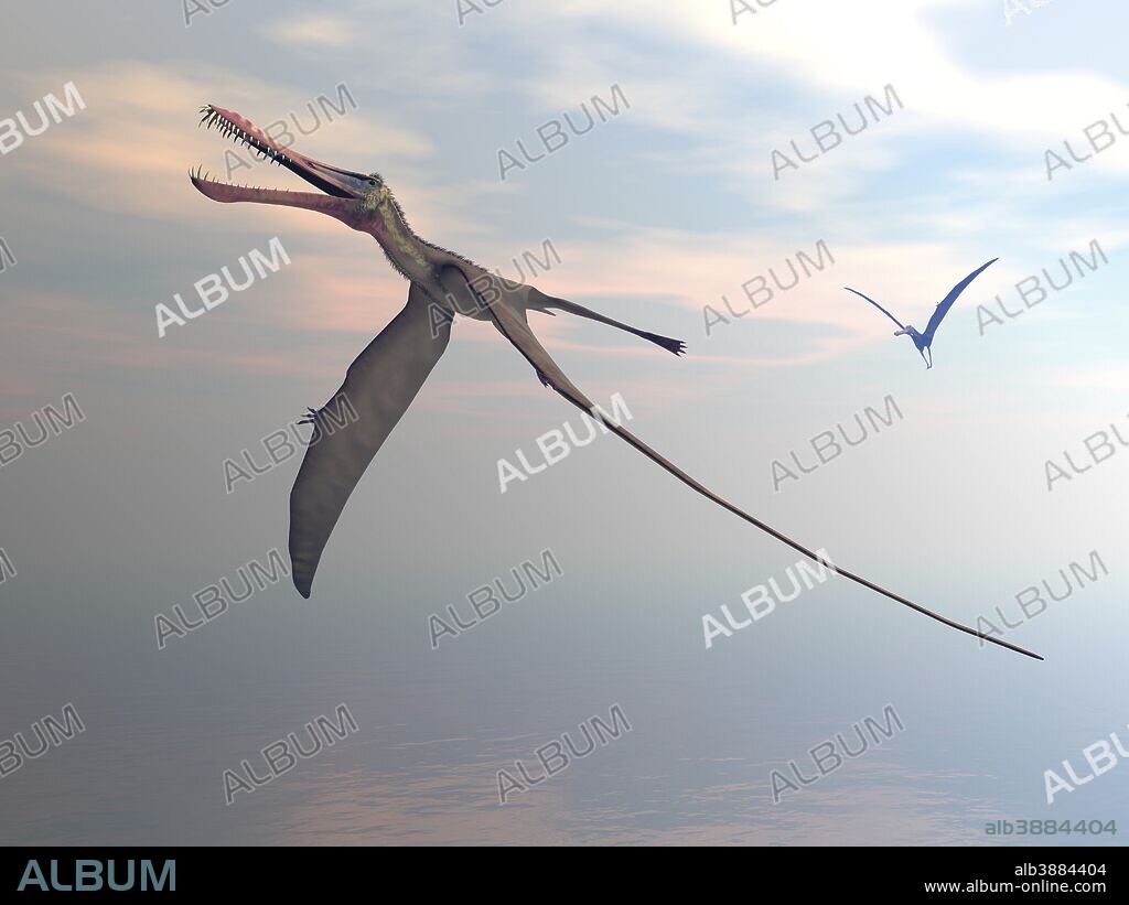 Anhanguera prehistoric birds flying upon the sea by sunset.