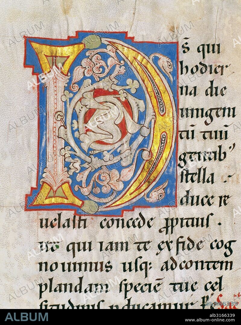 SACRAMENTAL DE SANT JOAN DE LES ABADESSES. Manuscrito en pergamino (270 mm x 180 mm). Fechado hacia el 1170-1190. Procedente de un escritorio catedralicio, seguramente el de la Catedral de Tortosa (?). Escrito en letra minúscula carolina de gran formato. Las letras iniciales están ornamentadas con decoración floral. Detalle letra inicial "D". Museu Episcopal de Vic. Provincia de Barcelona. Comarca de Osona. Cataluña.