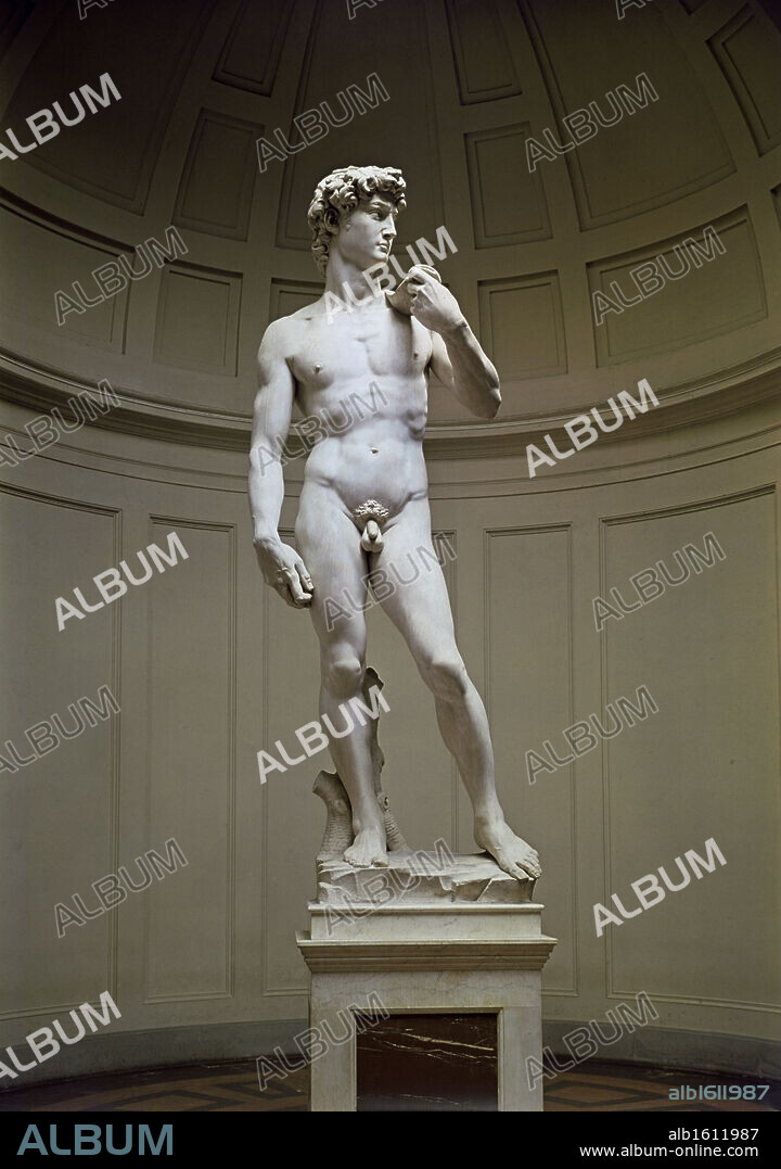 MIGUEL ANGEL. David  1501-04  Michelangelo Buonarroti (1475-1564 Italian)  Marble  Academy of Fine Arts, Florence, Italy.