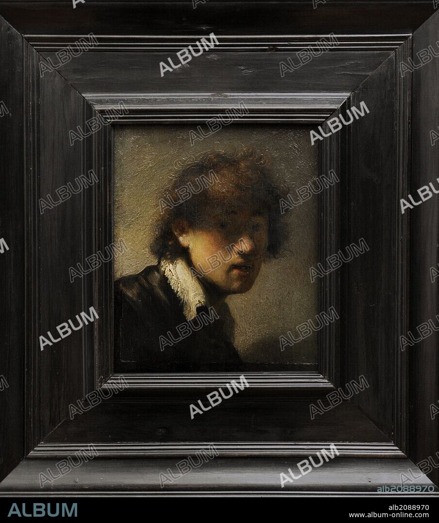 Rembrandt Harmenszoon van Rijn (1606-1669). Pintor y grabador holandés. Máximo esponente de la pintura barroca holandesa. "Autorretrato", 1628-1629. Alte Pinakothek. Munich. Alemania. Europa.