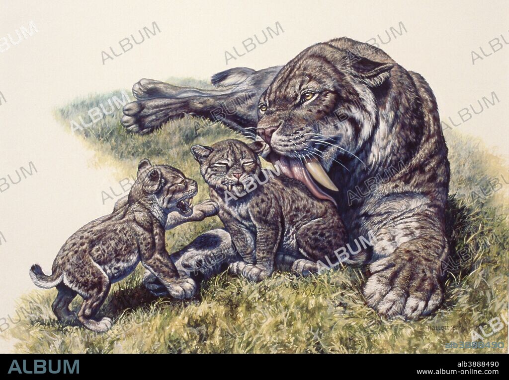 Smilodon sabertooth mother and her cubs, Pleistocene Epoch (Ice Age) of North America.