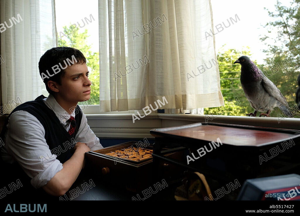 LUCAS JADE ZUMANN en LOS CONSEJOS DEL DR. BIRD PARA POETAS TRISTES, 2020 (DR. BIRD'S ADVICE FOR SAD POETS), dirigida por YANIV RAZ. Copyright Kreate Films / WeatherVane Productions.