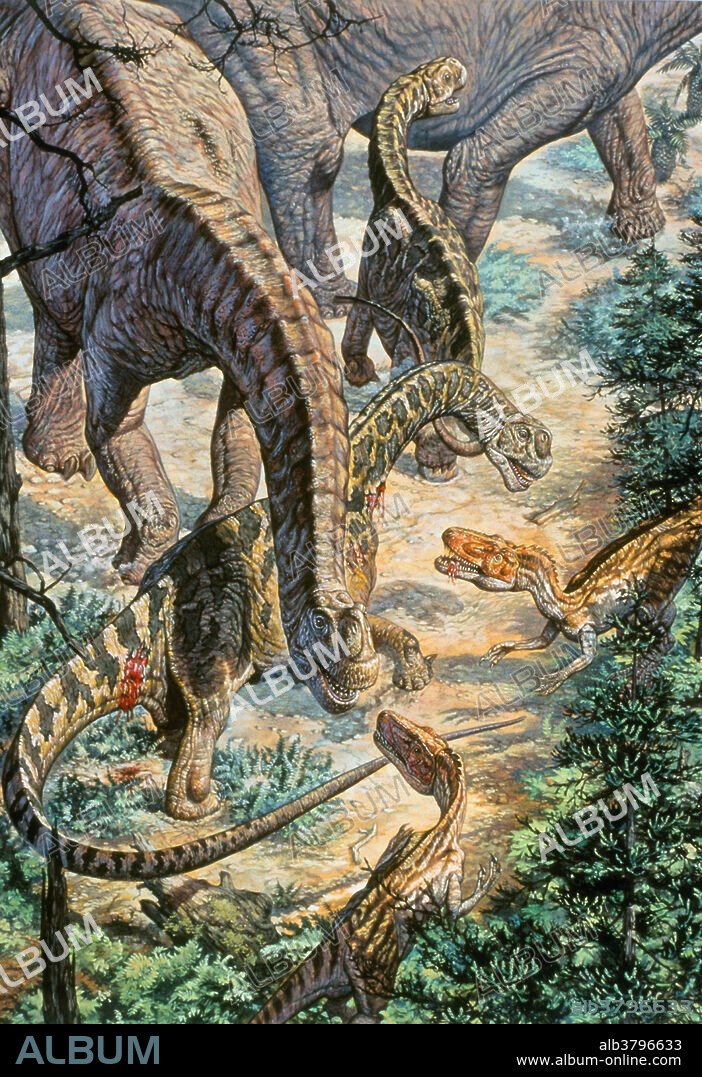 Jobaria, a sauropod (left) and Afrovenator (right) from the Cretaceous era of North Africa.