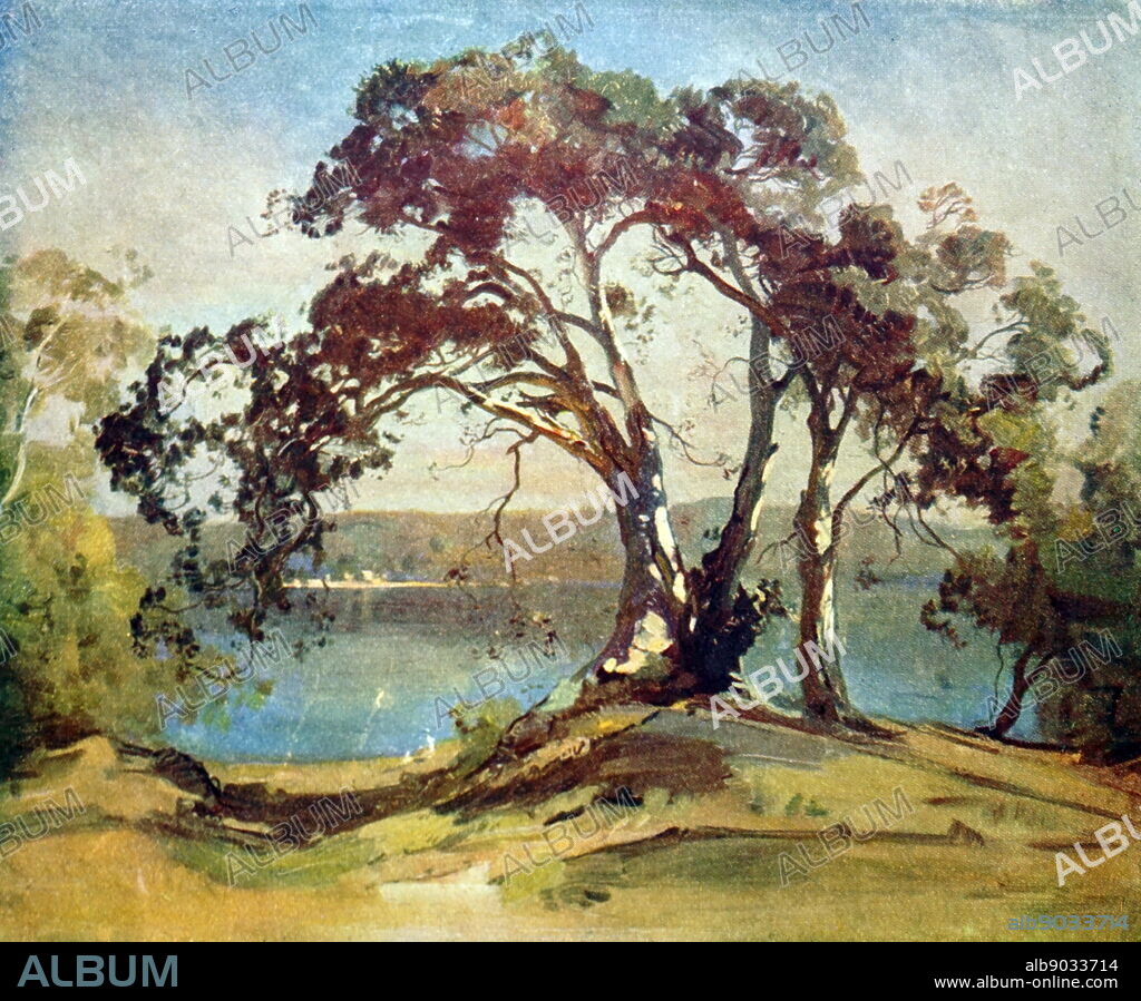 Giant Fig Tree, Port Hacking. Oil painting by Penleigh Boyd. Theodore Penleigh Boyd (15 August 1890 - 27 November 1923) was a British born Australian artist.