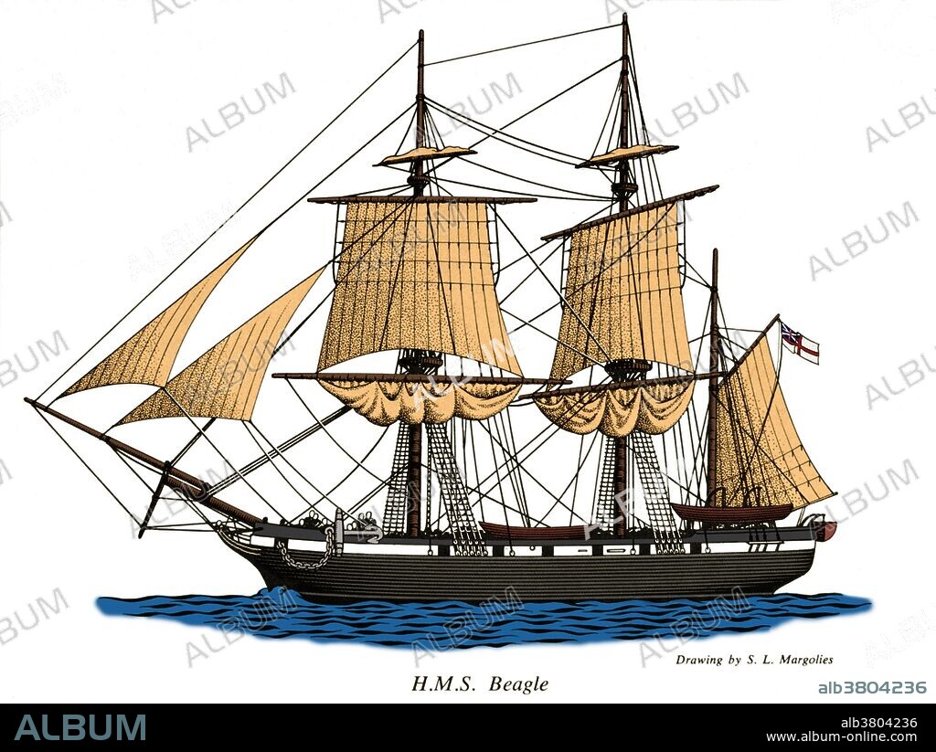 H.M.S. Beagle, a ship assigned by the Admiralty to surveying the southern coast of South America in two expeditions, the second of which involved Charles Darwin, who gathered information that would later be published in "The Origin of Species.".