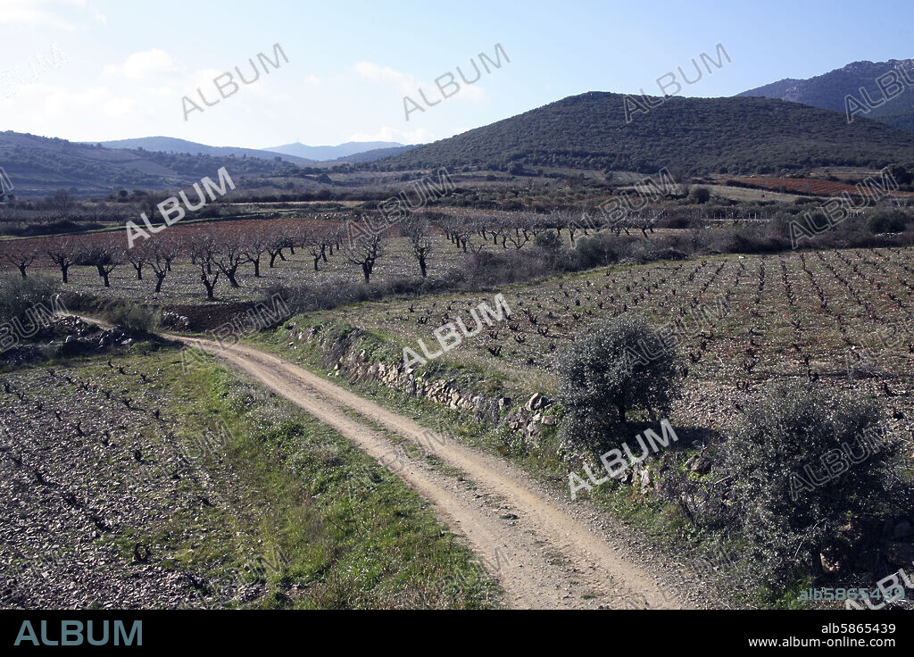 Almonacid de la Sierra; viñedos y Sierra de Algairén (rutas de senderismo y otros).
