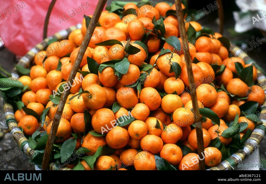 The mandarin orange (<i>Citrus reticulata</i>), also known as the mandarin or mandarine, is a small citrus tree with fruit resembling other oranges, usually eaten plain or in fruit salads.<br/><br/>. Dong Xuan Market was originally built by the French administration in 1889 in the Old Quarter of Hanoi when the city's two main marketplaces, one at Hang Duong Street and the other at Hang Ma Street, were closed. The most recognizable feature of the market was the 5-arch entrance corresponding to Dong Xuan Market's five domes.