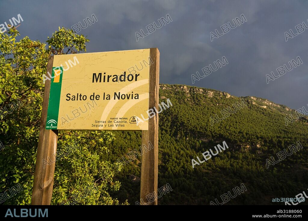 pinar de la sierra de las Huebras, mirador del salto de la Novia o de Zumeta,Parque Natural de las Sierras de Cazorla, Segura y Las Villas , provincia de Jaén, declarado Reserva de la Biosfera por la UNESCO  spain, europe.
