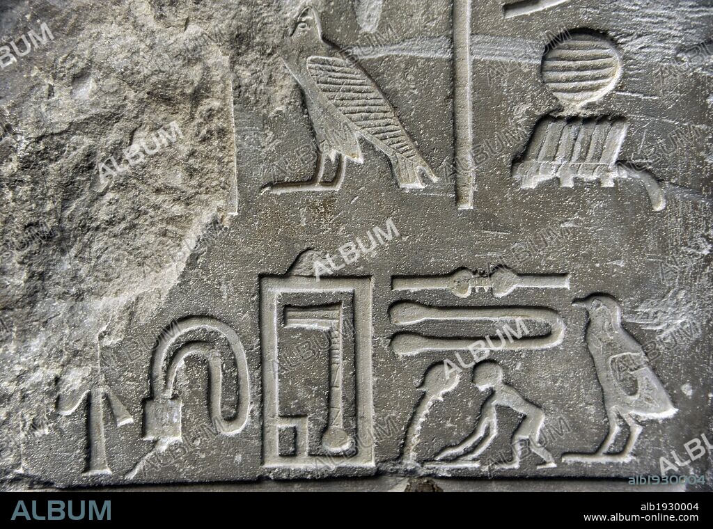 ARTE EGIPCIO. EGIPTO. Templo tesoro de Setju, sumo sacerdote del Imperio Antiguo. Dinastia V. Necrópolis de Sakara. Piedra caliza. 250-2350 a. C. Detalle jeroglífico. Museo Carlsberg Glyptotek. Copenhague. Dinamarca. Europa.