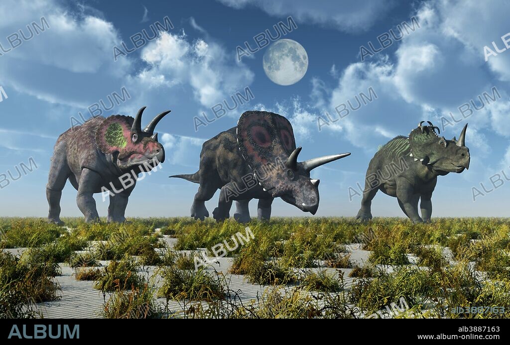 A Triceratops, Torosaurus and Centrosaurus dinosaur during Earth's Cretaceous period of time.