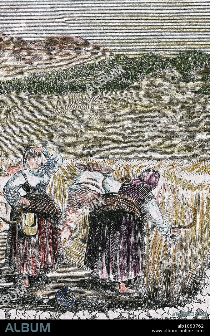 SOCIEDAD RURAL. HISTORIA DE ESPAÑA. "RECOLECCION DEL TRIGO". Grabado coloreado del siglo XIX.
