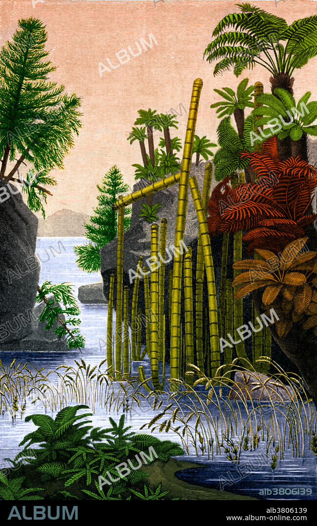 Plants of the Triassic Period