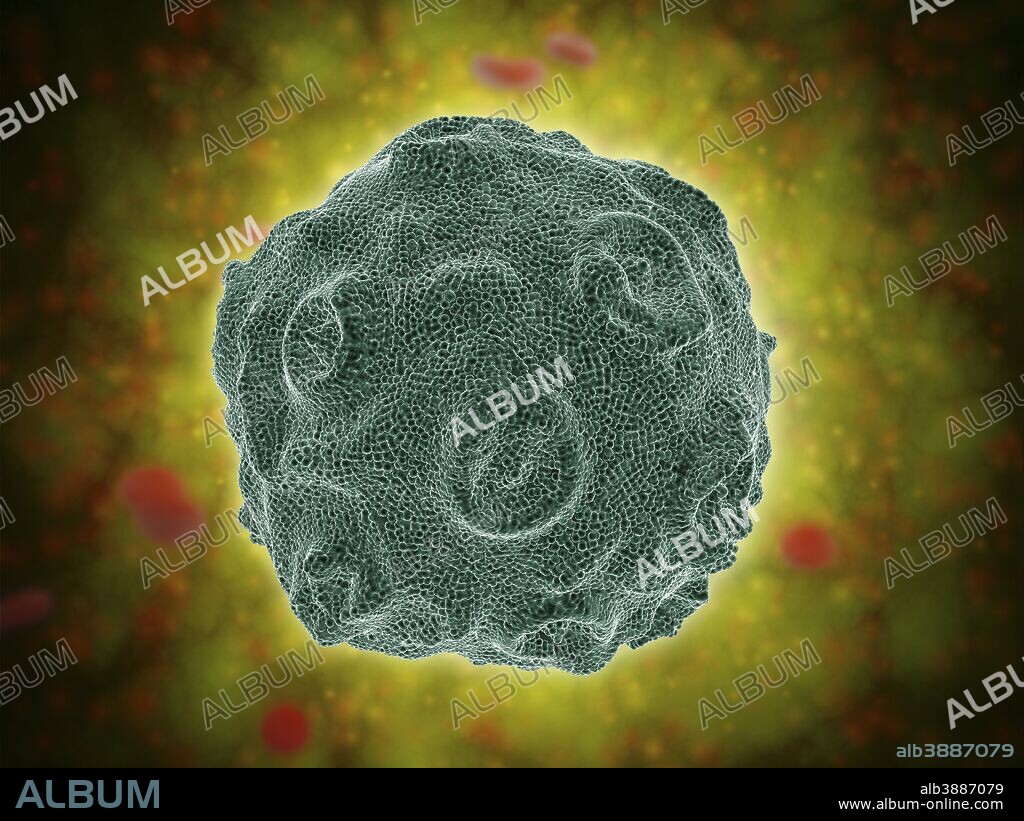 Conceptual image of the Human Papilloma Virus (HPV). HPV is a virus from the papillomavirus family that affects human skin and the moist membranes that line the body.