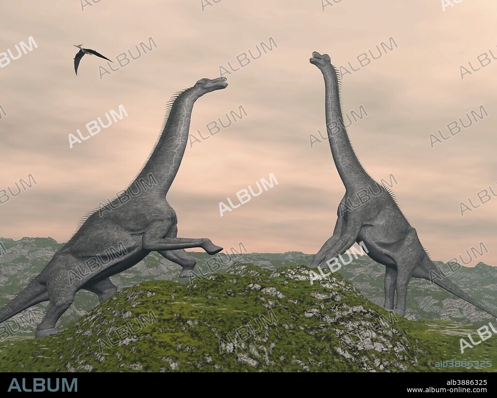 Two Brachiosaurus dinosaurs fighting.