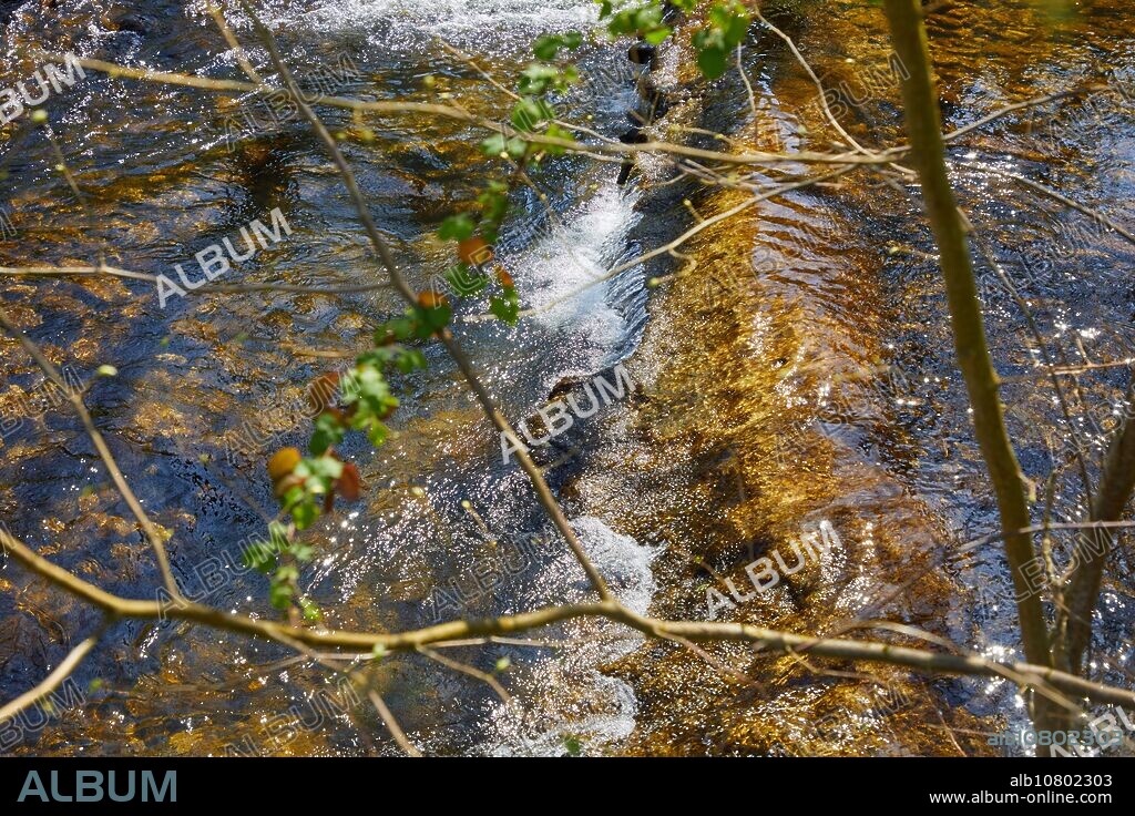 Oria River, Segura, Gipuzkoa, Basque Country, Spain.