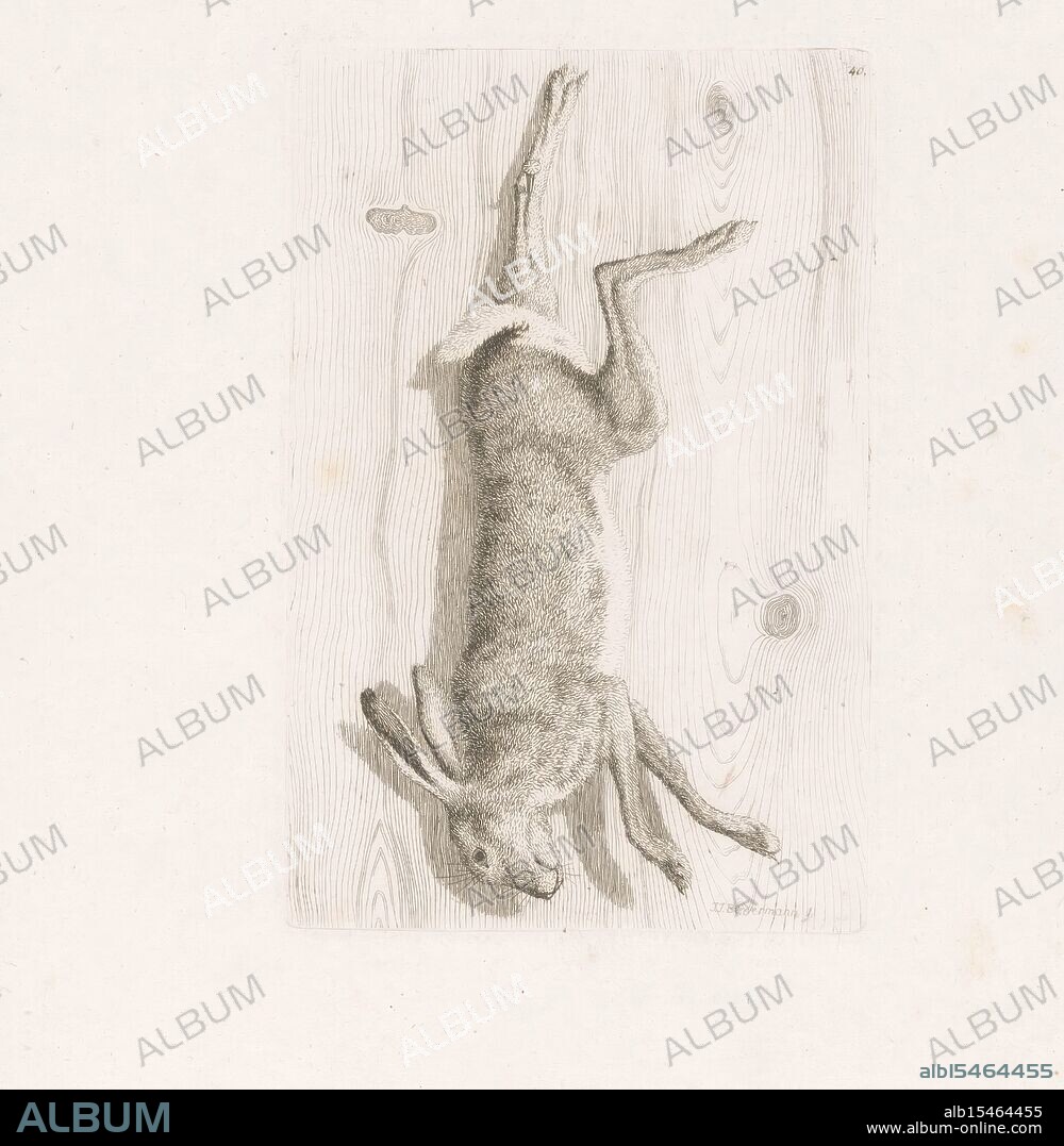 Switzerland, Biedermann, Johan Jakob, Dead hare, verso - stamped, nailed to a wooden wall. Switzerland, Man and a Dog beside Two Oxen with a Yoke, Numbered top right: 41., print, prints, prenten, height 134 mm, width 229 mm, Swiss, 1763-10-07 - 1830-04-10, print maker, prentmaker, 1778 - 1830, fourth quarter 18th century, fourth quarter 18e eeuw, first quarter 19th century, paper, papier, etching, etchings.