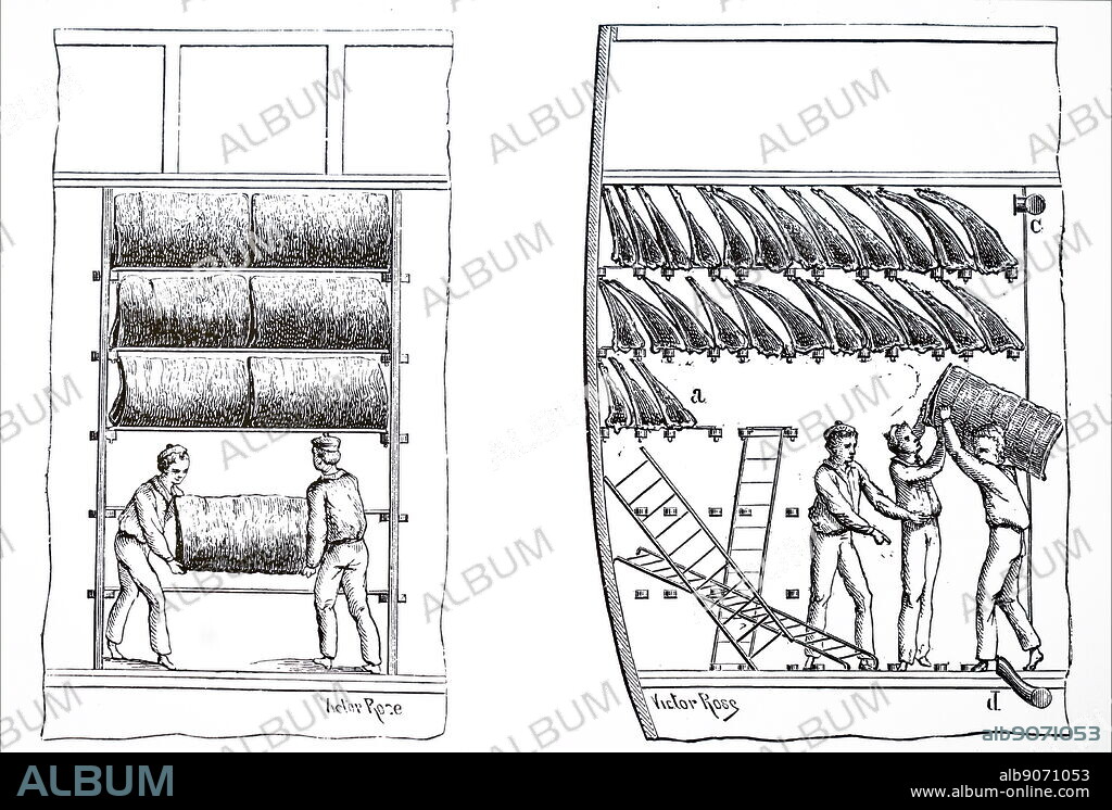 Cross-section of holds of a refrigerated ship, showing men handling sides of meat planned by Charles Tellier (1828-1913) a French engineer. Dated 19th century.