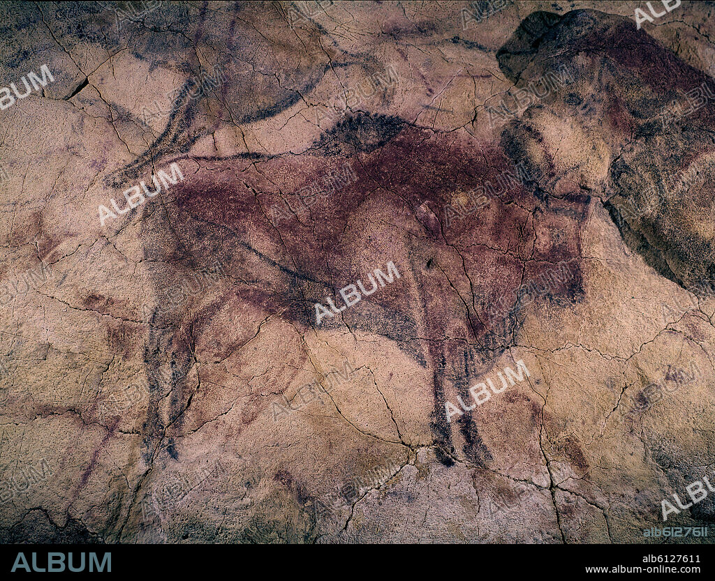Buffalo. Rock painting. Upper Paeolithic period. Magdalenian period. Santillana del Mar, Altamira caves. Cantabria.
