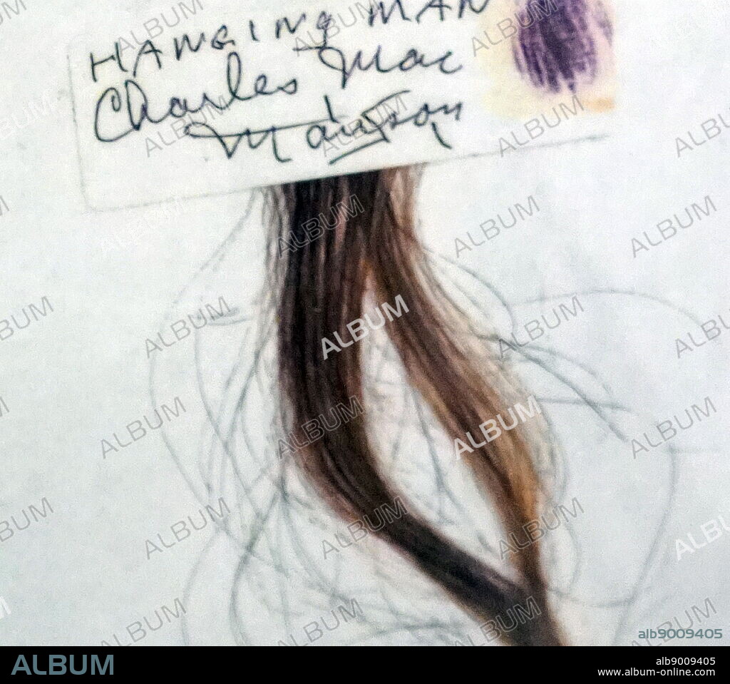 A lock of Charles Manson's hair. Charles Milles Manson (1934-2017) an American criminal, cult leader and musician.