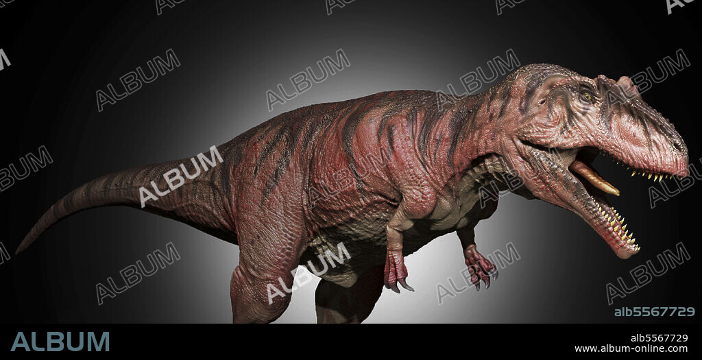 Giganotosaurus dinosaur, side view.
