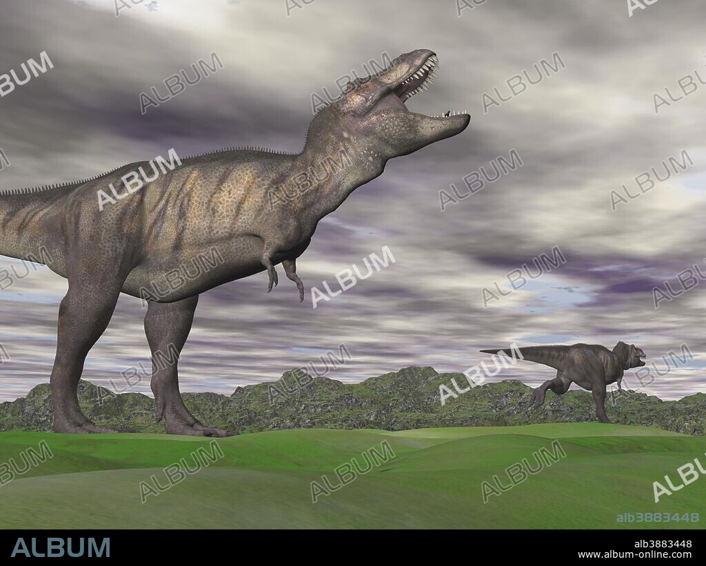 Aggressive Tyrannosaurus Rex dinosaur growling at another T-Rex that is running away in a green mountain landscape.