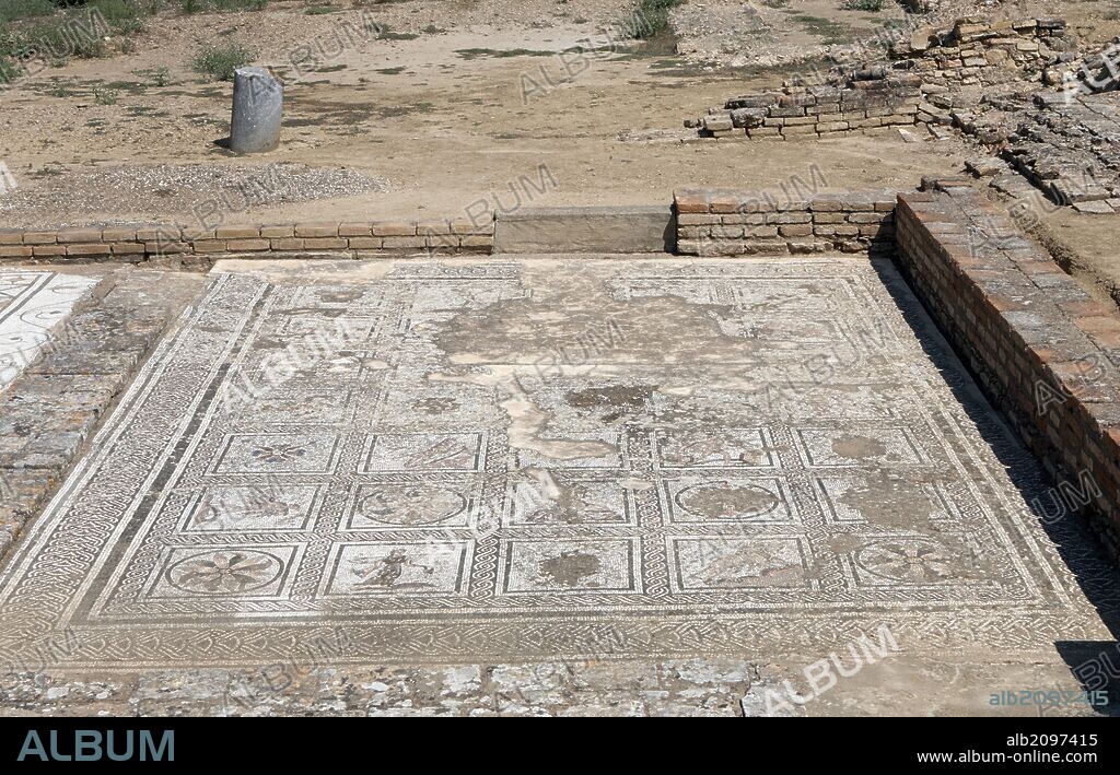 ARTE ROMANO. ESPAÑA. Conjunto Arqueológico de ITALICA. Ciudad romana que tiene sus orígenes en el año 206 aC. Pavimentos de domus romanas decoradas con restos de mosaicos. Alrededores de Santiponce. Provincia de Sevilla. Andalucia.