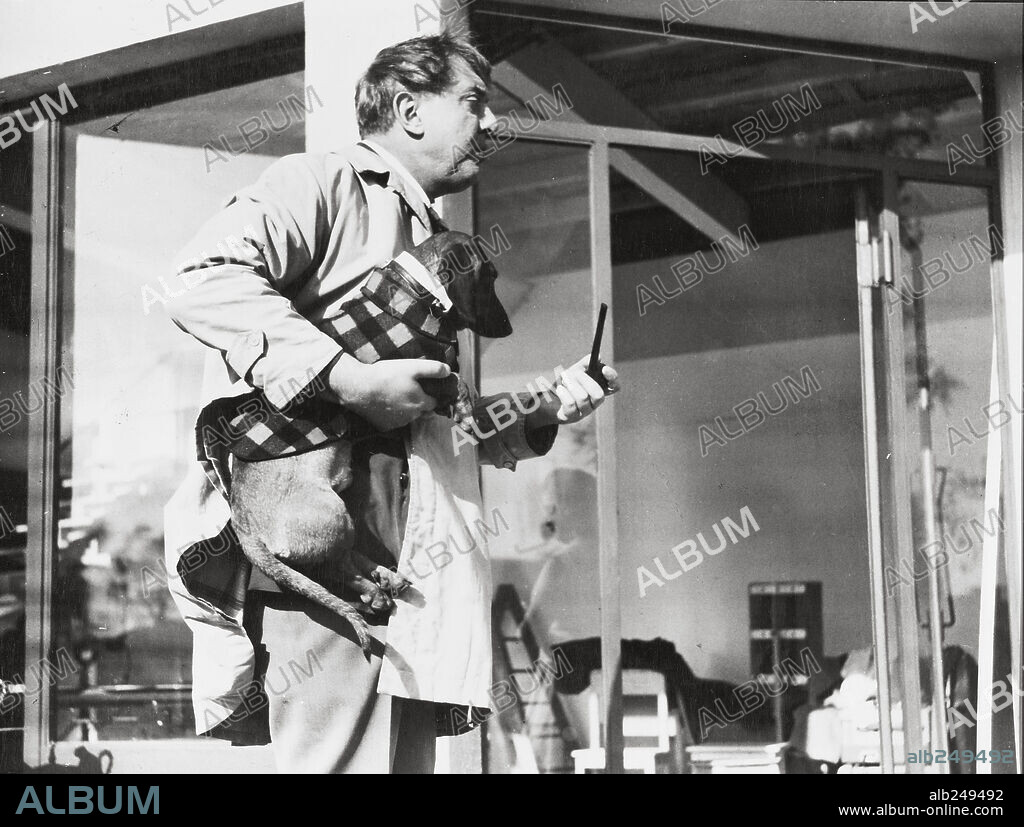 JACQUES TATI en MI TÍO, 1958 (MON ONCLE), dirigida por JACQUES TATI.