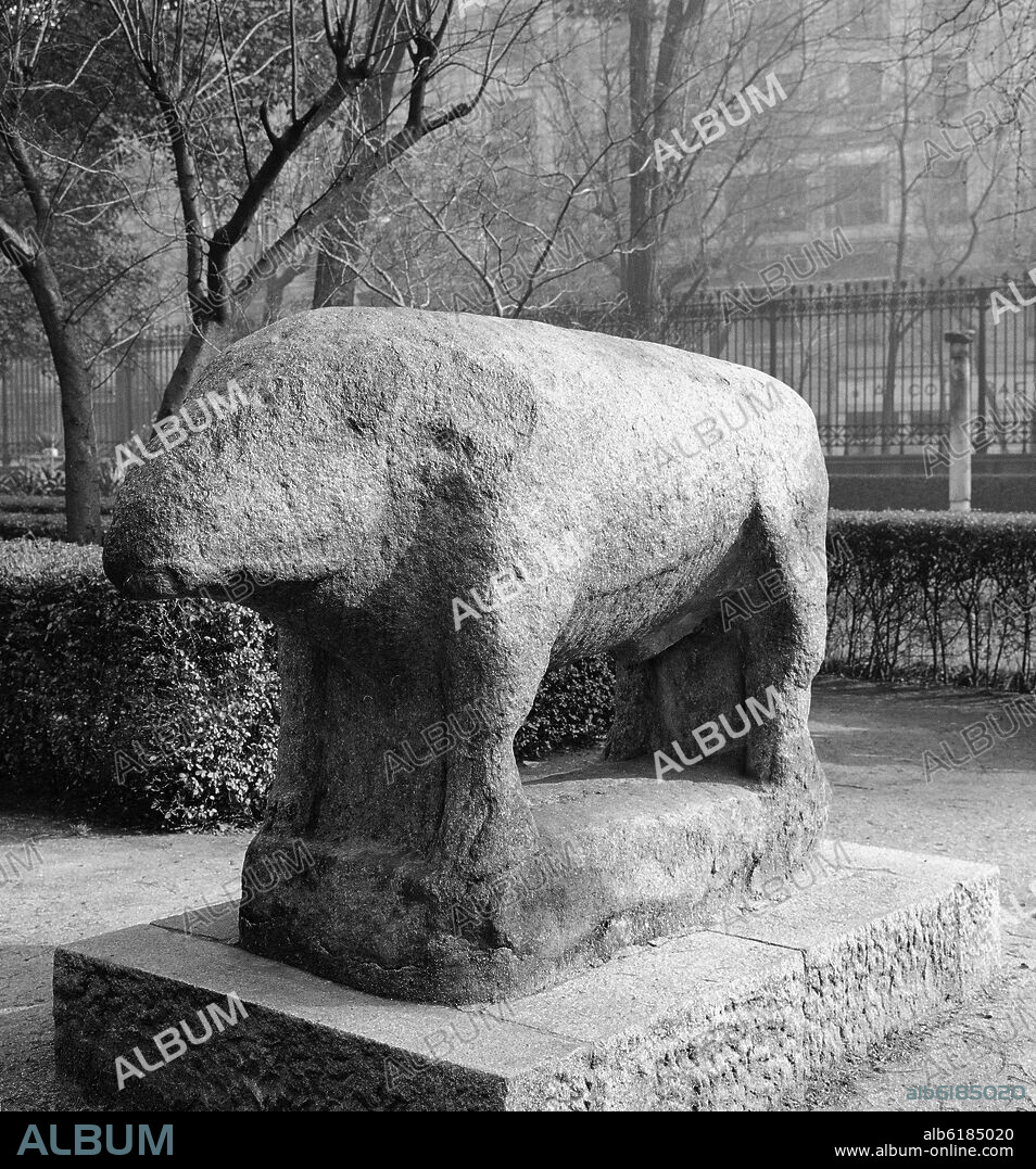 VERRACO SITUADO EN EL EXTERIOR DEL MUSEO ARQUEOLOGICO PROCEDENTE DEL CASTRO DE LAS COGOTAS - FOTOGRAFIA EN BLANCO Y NEGRO - AÑOS 60.