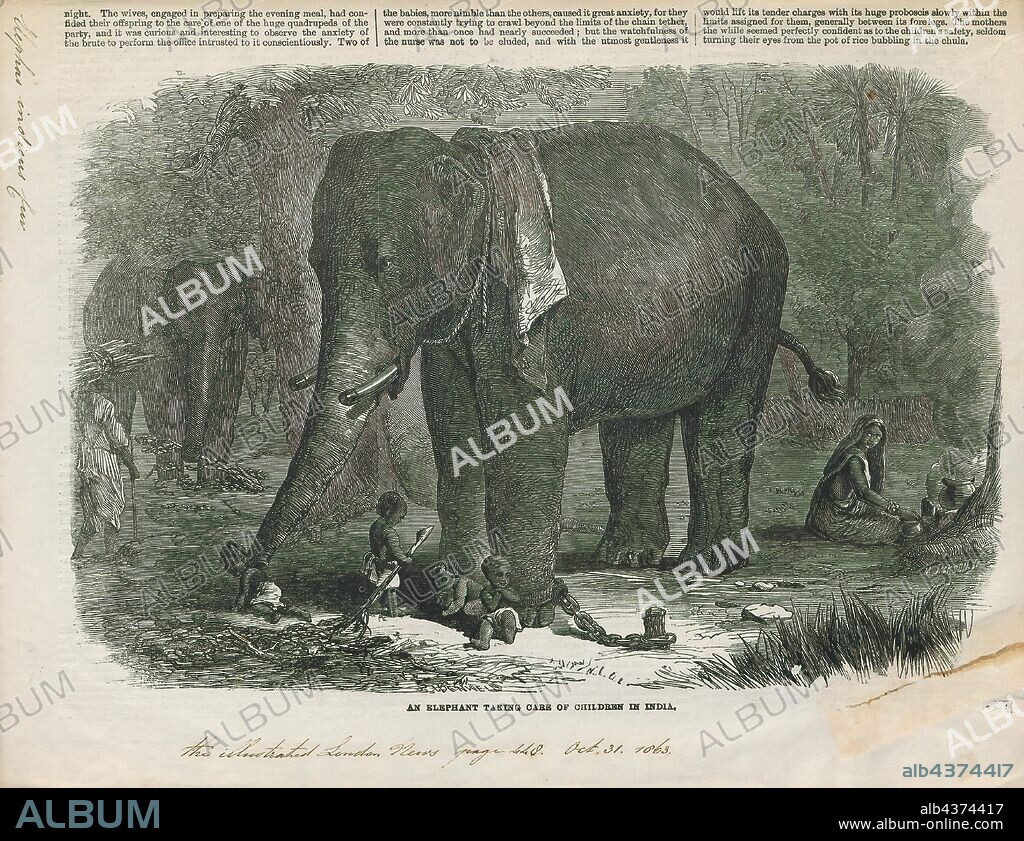 Elephas indicus, Print, Elephas is one of two surviving genera in the family of elephants, Elephantidae, with one surviving species, the Asian elephant, Elephas maximus., 1863.