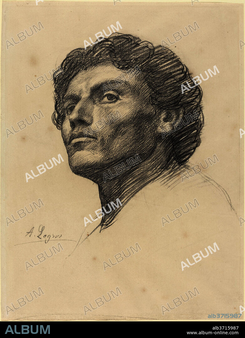 ALPHONSE LEGROS. Head of a Man. Dimensions: overall (approximate): 43 x 32.7 cm (16 15/16 x 12 7/8 in.). Medium: black chalk on laid paper.